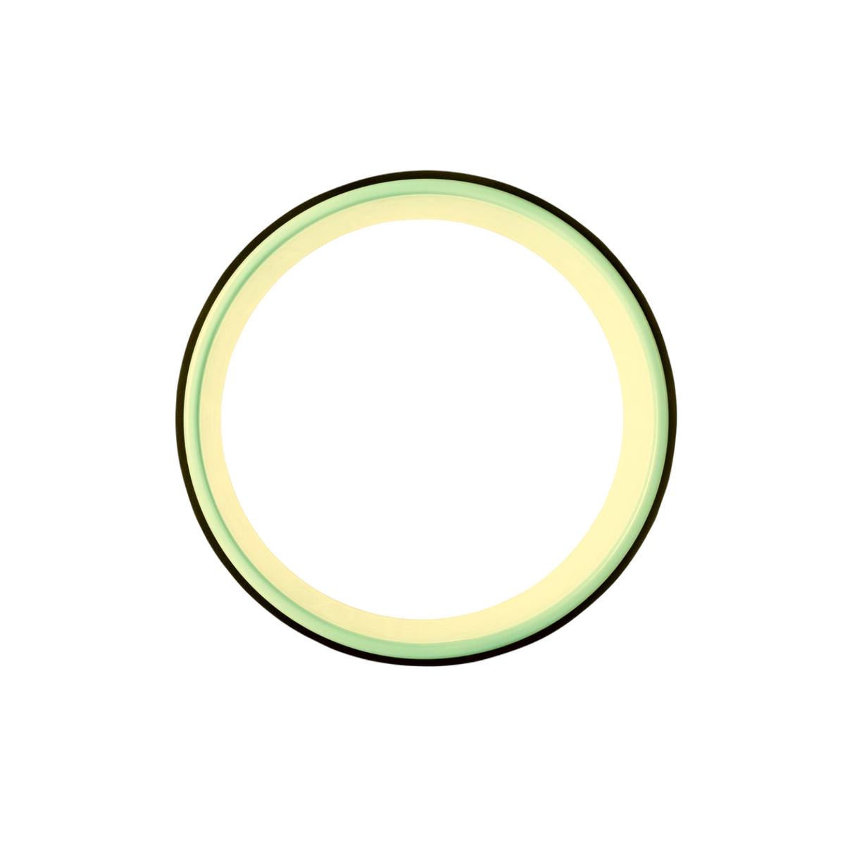 Well Flow Yoga Wheel