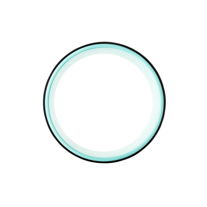 Well Flow Yoga Wheel