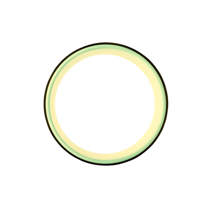 Well Flow Yoga Wheel